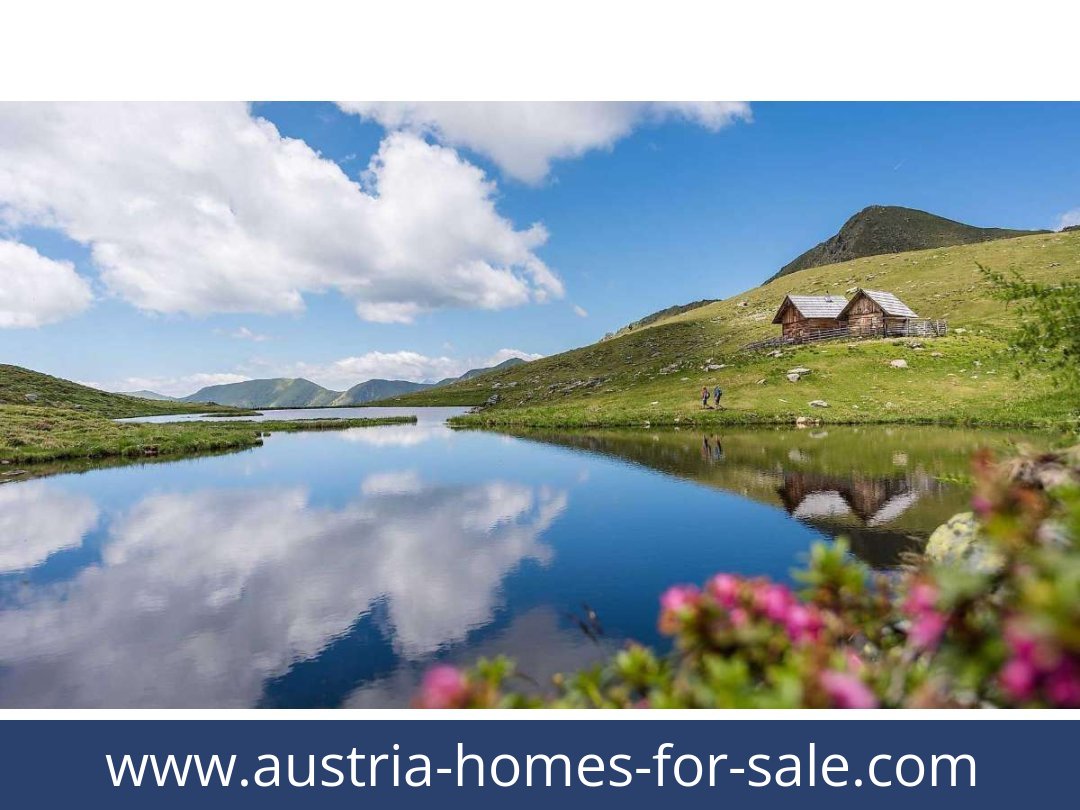 austria-homes-for-sale-ebene reichenau-9565-20260101164802-0056801015.jpg